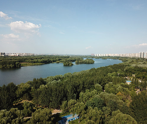 普林斯頓電化學(xué)工作站